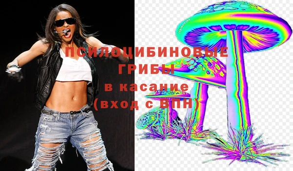 дмт Абаза