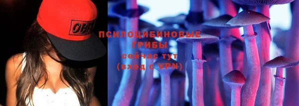 дмт Абаза
