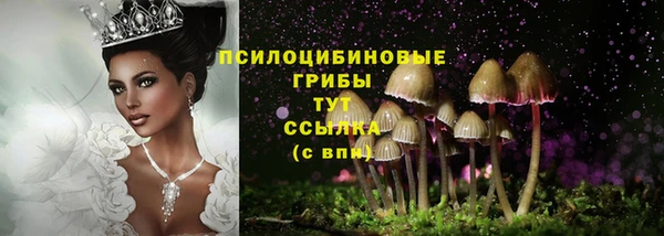 дмт Абаза
