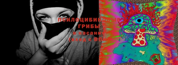 эйфоретик Алексин