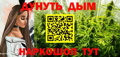 гидропоника Донской