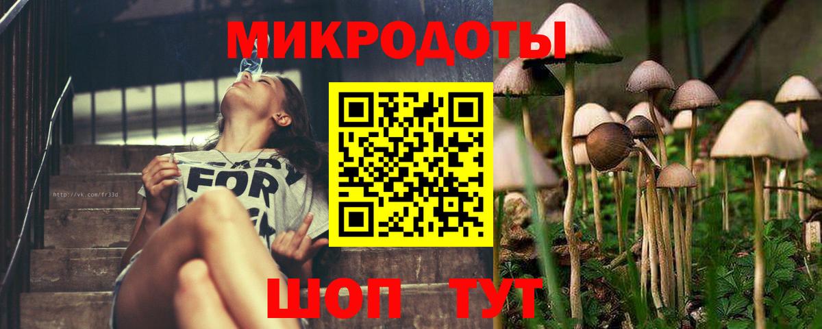 Галлюциногенные грибы прущие грибы  Галлюциногенные грибы Psilocybine cubensis  Каменка  Вход с VPN 